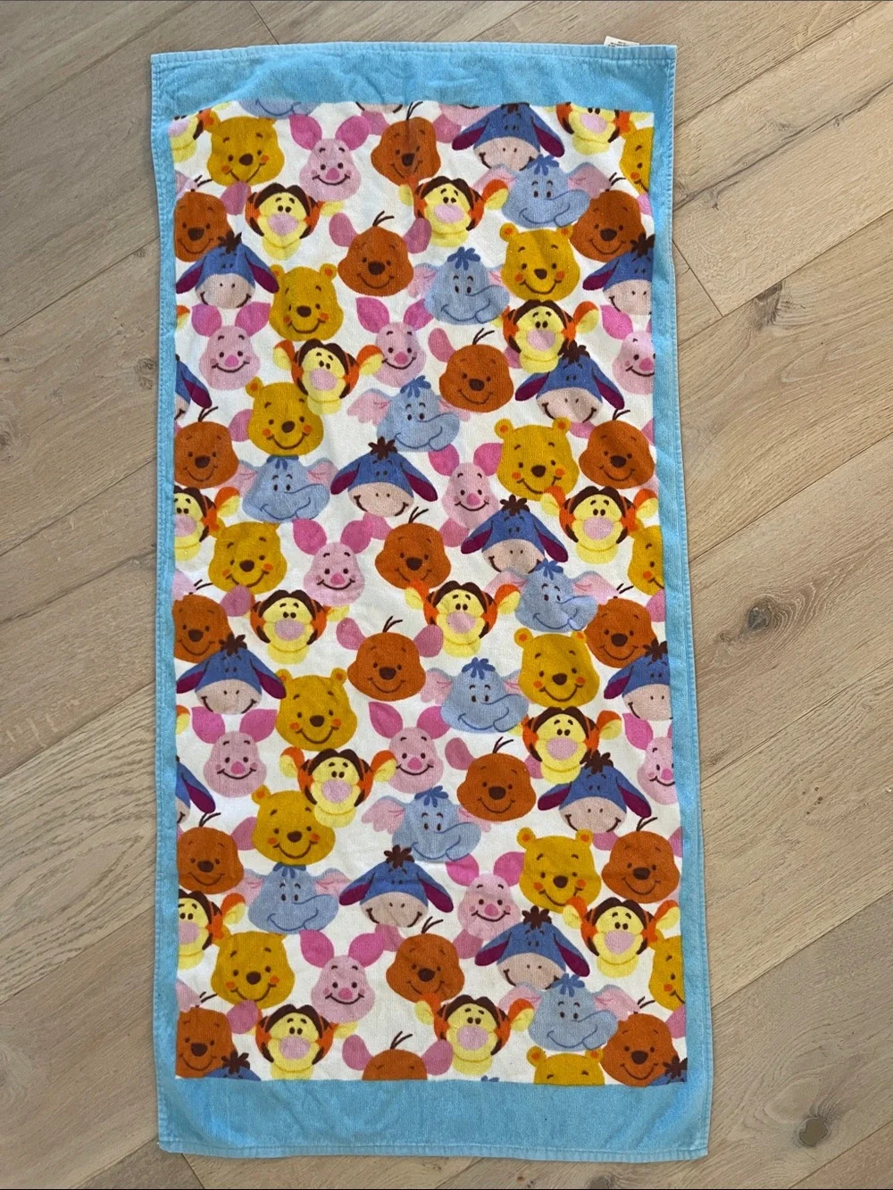 The Wonderful World of Disney Winnie The Pooh and Friends beach towel
